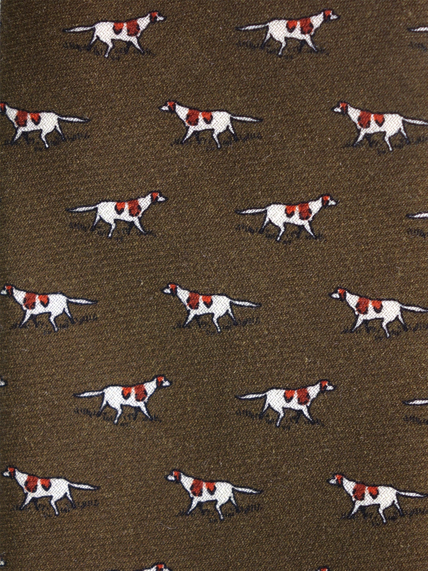 Green 3 Fold SEGUGIO Tie in printed English challis wool